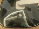 九阳（Joyoung）电火锅火锅专用锅电炒锅电煮锅一体锅多功能料理电热锅 7L大容量多用途锅HG70-G192【东哥同款】 实拍图