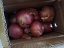 京鲜生 甘肃紫红皮洋葱净重5斤单果200g+ 现挖新鲜蔬菜 源头直发包邮 实拍图