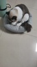 梵都宠舍 猫窝冬季保暖蛋挞猫垫子四季通用猫狗窝猫床猫咪用品宠物窝 实拍图