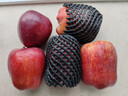 京鲜生 天水花牛苹果 净重7斤 单果260g+ 生鲜水果源头直发 实拍图
