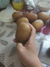 佳沛（zespri）新西兰  阳光金奇异果10粒礼盒巨大果单果约144-175g 水果 猕猴桃 实拍图