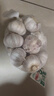大蒜头出口品质网兜紫蒜蔬菜调料新鲜大果烧烤火锅食材 【精品网兜装】1斤装 450g 实拍图