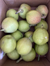 京鲜生新疆库尔勒香梨 净重4.5斤单果120g+ 新鲜水果 源头直发包邮 实拍图