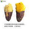 京鲜生&家美舒达 山东 红瑶地瓜 烤薯 冰糖蜜薯 5斤 推荐烤 新鲜蔬菜 实拍图