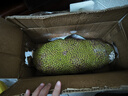 京鲜生 海南菠萝蜜整个 13-17斤 净重13斤生鲜水果 源头直发 实拍图
