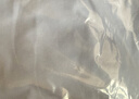 唐狮（TonLion）儿童长袖T恤春秋纯棉打底衫男女童白色t恤内搭上衣春装 水蓝 150 实拍图