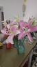 悦多彩AB级优质香水百合 家庭办公室各色生活鲜花 昆明基地 现采直发 随机单色百合10朵（双头5枝） 实拍图