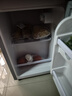 志高（CHIGO）小冰箱迷你小型家用冷藏冷冻两用宿舍出租房用双门办公室电冰箱节能省电 【一级能效】66L银色【三天约一度电】 实拍图
