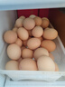 京鲜生鲜鸡蛋10枚/盒 健康轻食 营养健康1斤/盒 源头直发  实拍图