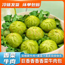 徽佬香香菜牛肉包280g*3袋/30个 儿童早点小笼包早餐晚餐方便速食包子 实拍图
