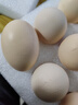 京鲜生【每日鲜蛋】无抗谷物鸡蛋30枚3.78斤 当日产蛋 当日发货 实拍图