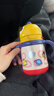 babycare儿童保温杯婴儿宝宝吸管水杯霸王龙不锈钢保温杯300ml-新旧款混发 实拍图