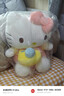 Hello Kitty三丽鸥毛绒玩具玩偶布娃娃抱枕送女友生日礼物女生 凯蒂猫公仔 实拍图
