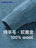 罗蒙【100%羊毛】纯羊毛衫男秋冬圆领毛衣男士薄款套头打底针织衫男装 实拍图
