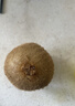 佳沛（zespri）绿奇异果 优选大果12粒单果约113-135g  水果 猕猴桃 实拍图