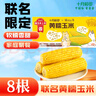 十月稻田 黄糯玉米 3.52斤(220g*8根) 25年新玉米 低脂粗粮 早餐 联名款 实拍图