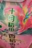 十月稻田 香稻贡米 东北大米 10斤（香米 粳米 5公斤/十斤） 实拍图