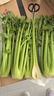 新鲜出土西芹大颗半叶绿色蔬菜榨汁专用甜脆嫩心时令蔬菜现割现发 4斤西芹实惠装 实拍图