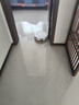 科沃斯T80扫地机器人扫拖洗烘一体自动清洗滚筒洗地机器人智能语音水箱版国家补贴 实拍图