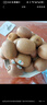 佳沛（zespri）新西兰 阳光金奇异果12粒礼盒特大果单果约122-146g 猕猴桃 水果 实拍图