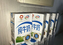 伊利【新鲜日期】纯牛奶250ml*21盒 全脂牛奶 优质乳蛋白 礼盒装 实拍图