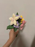 Jellycat趣味花束手捧花趣味植物毛绒玩偶公仔植物圣诞节生日礼物 趣味花束 One Size 实拍图