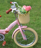 永久（FOREVER）永久儿童自行车永久自行车儿童 自行车3-6岁折叠自行车儿童单车 标配粉|辐条轮+折叠+辅助轮+礼包 12寸|身高80-110cm 实拍图