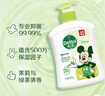 滴露（Dettol）洗手液茉莉绿茶清香500g*2 儿童洗手液家庭抑菌消毒 迪士尼 实拍图