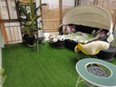 假草皮仿真草坪绿色地毯户外人造塑料人工仿生室外隔热围挡足球场 2厘米新升级加密优质春草 【1米宽/1米长】需要几米长拍几米（整卷25米） 实拍图