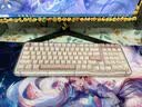 罗技（Logitech）ALTO KEYS K98M/K98S客制化机械键盘 无线蓝牙双模mac ipad键盘 98配列键盘游戏办公家用 AI热插拔 K98S+草莓小猫 实拍图