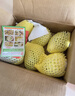 京觅福建芭乐 白心芭乐 土番石榴单果150g 4.5斤装 实拍图