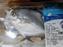 冰鲜白鲳鱼400g（4条装） 实拍图