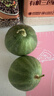 京鲜生 绿宝香瓜甜瓜  4粒装 单果200g起 中秋生鲜水果 实拍图