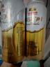 燕京啤酒 原浆白啤12度 500ml*12听 现货热卖 整箱装京东自营 实拍图