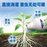 Dr.Riley德国原液花卉杀虫剂植物蚜虫呋虫胺喷雾土壤绿植月季花草红黑蜘蛛 实拍图