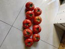 京鲜生 山东普罗旺斯番茄 净重4.5斤 单果125g+ 沙瓤西红柿 源头直发 实拍图