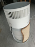 霍尼韦尔（Honeywell）宠物空气净化器吸猫毛除过敏源猫猫搭子 猫毛净化器杀菌消毒除异味【家电国家补贴】KJ360F-C22W 实拍图