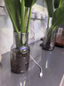 京东鲜花 北欧ins风简约玻璃花瓶水培鲜花插花小花瓶客厅餐桌水养创意摆件 实拍图
