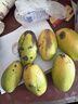 【双十一热卖】玉芒水果芒果新鲜上市 带箱6斤【单果200g以上】 实拍图