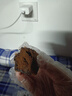 【商超同款】MCT爆浆黑巧克力泥巴派健身代餐茶点心网红零食 巧克力泥巴派【3块】140g 实拍图