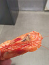 鲜京采 福建大号九节虾干 净重1斤（50-60只） 低温烘烤 即食 实拍图