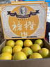 褚橙 云南冰糖橙  优级果 L 10斤装 单果约130g起 生鲜水果礼盒 实拍图