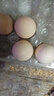 散养土鸡蛋 谷物蛋初生鲜鸡蛋 农家山林谷物喂养笨鸡蛋柴鸡蛋 【小份尝鲜】10枚 S级谷物蛋(40g±5g)/枚 实拍图
