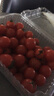 千禧圣女果新鲜小番茄樱桃小柿子孕妇水果现摘现发新鲜蔬菜 新鲜圣女果净重 1斤 实拍图