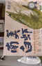 万景 国产大虾 盐冻北海白虾(大号) 80-100只净重4斤  家庭聚餐 海鲜 实拍图