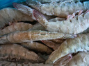 鲜京采 开背去虾线海白虾3斤装 大号45-60只 实拍图