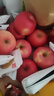 佳农 烟台红富士苹果 净重10斤 特级果 单果240g+ 生鲜水果礼盒 实拍图