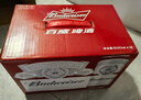 百威（BUDWEISER）啤酒500ml*12听拉格易拉罐铝罐醇正口感国产精酿整箱 500mL 12罐 整箱装 晒单实拍图
