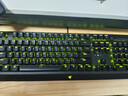 雷蛇（Razer）黑寡妇蜘蛛V3 机械键盘 游戏电竞电脑 全新透明机械轴 RGB灯效带腕托 104键 绿轴 实拍图