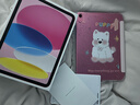 Apple/苹果 iPad11英寸 A16芯片2025年款 平板电脑 (256GB WLAN版/学习办公娱乐)粉色 实拍图